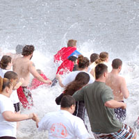 Colin's Crew Polar Dip