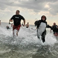 Long Island Polar Dip