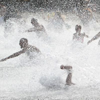 Portland Polar Dip