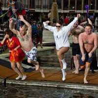 Virginia Polar Dip